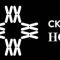 Company Logo 9