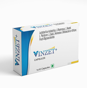 Vinzet+